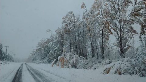 Así está la ruta provincial 89 - Fotografía facebook Gaspar Dominguez