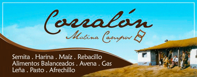 Corralon Molina Campos