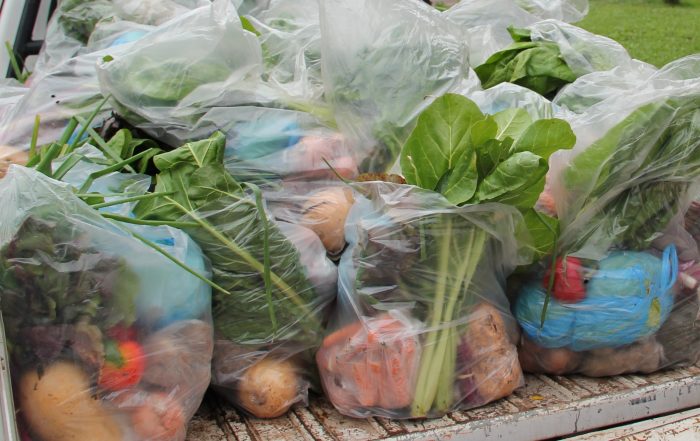 Bolsones verduras