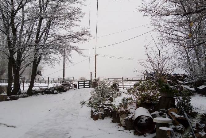 Nieve en el manzano 3 junio foto Maria del Valle