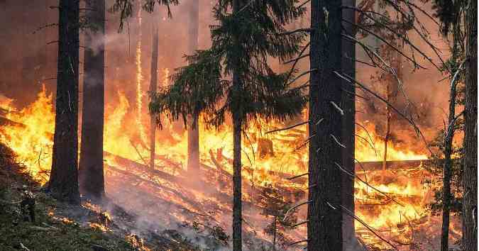 incendios-brasil