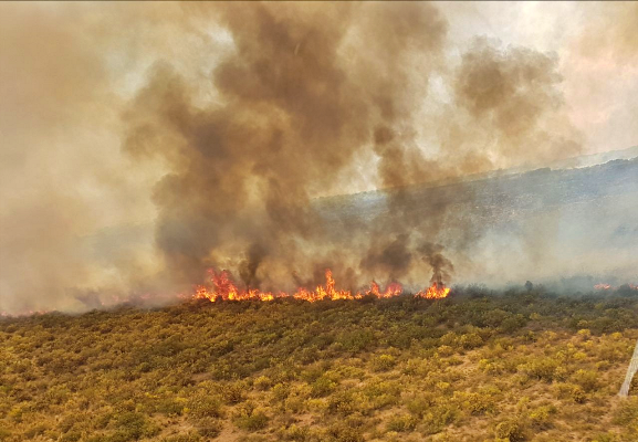 Incendio Forestal en Tgto