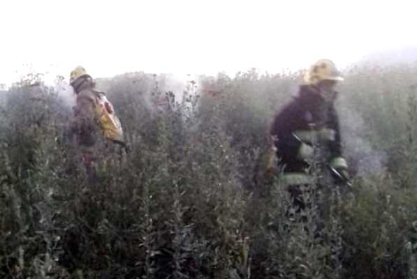 incendio campo inculto san carlos- ElCucoDigital-