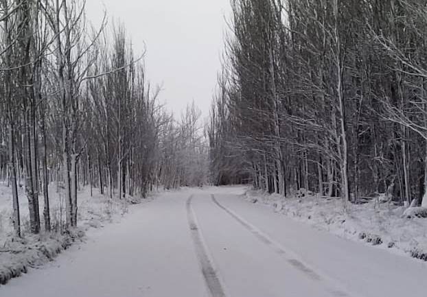 Nieve en Tgato 2 21 de mayo