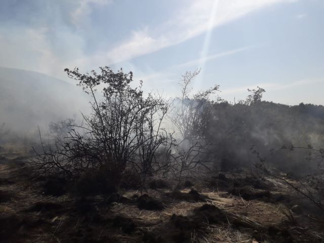 Incendio en el manzno