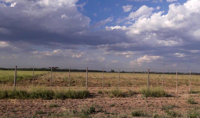 Tres Esquinas, San Carlos - Foto Abi Romo, El Cuco Digital