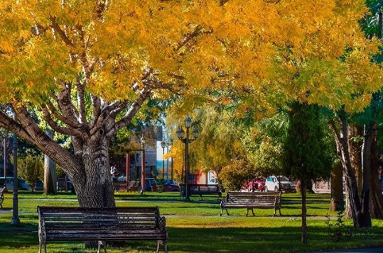 Plaza de Tupungato - Foto Municipalidad