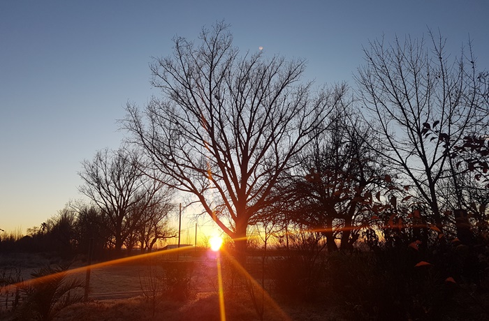 Amanecer en La Consulta, San Carlos - Foto El Cuco