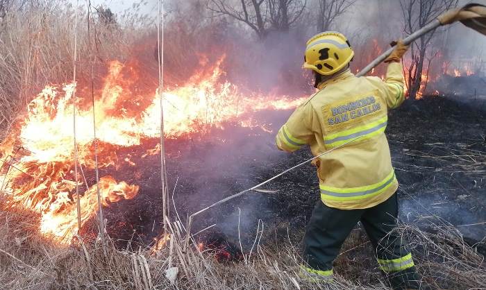 Efectivos sofocando las llamas - Foto Bomberos Voluntarios San Carlos
