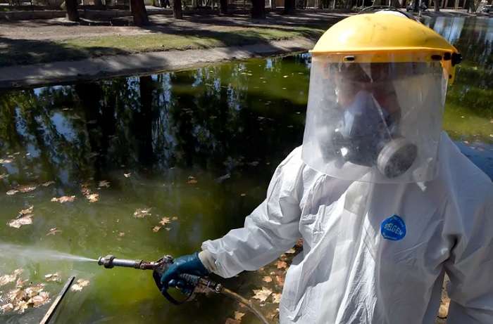 Personal de Zoonosis de Guaymallén desinfectando para evitar la propagación del mosquito Dengue en el lago de Bandera de los Andes y Urquiza - Foto : Orlando Pelichotti