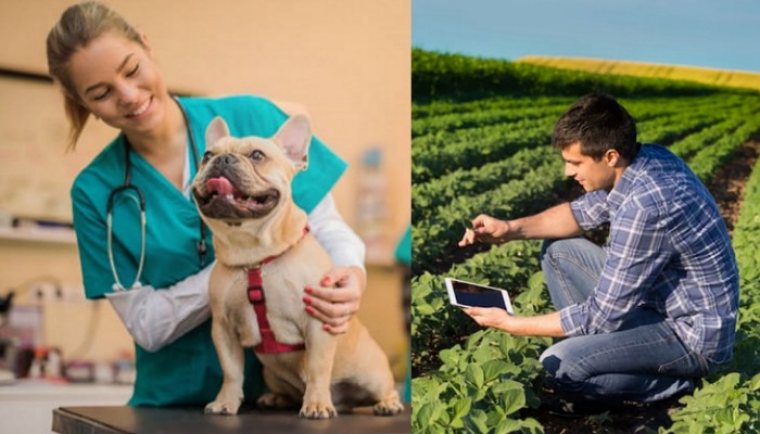 Día del Médico Veterinario y del Ingeniero Agrónomo