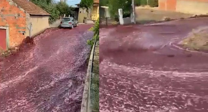 rio de vino-captura video