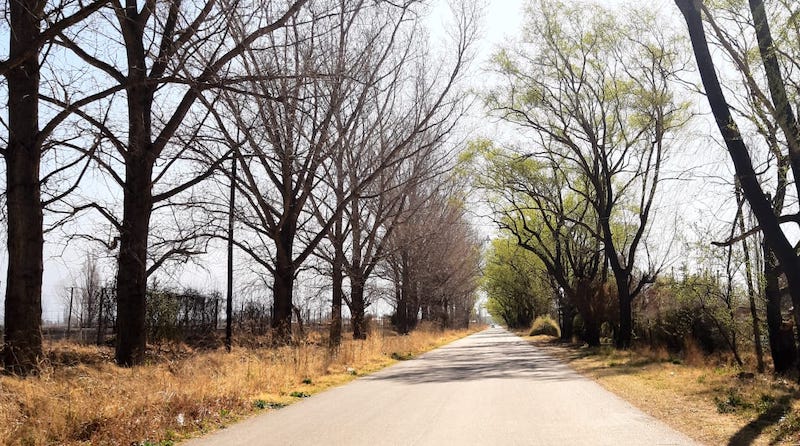 Caminar por las calles de Valle de Uco es un placer muy saludable.