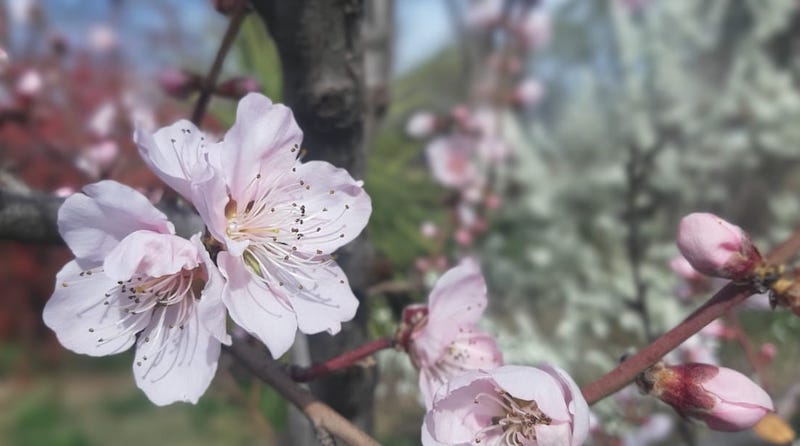 ¡Feliz primavera Valle de Uco!