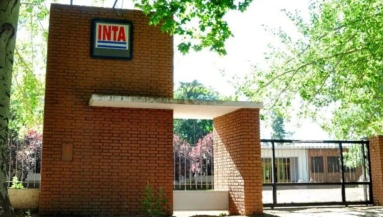 inta