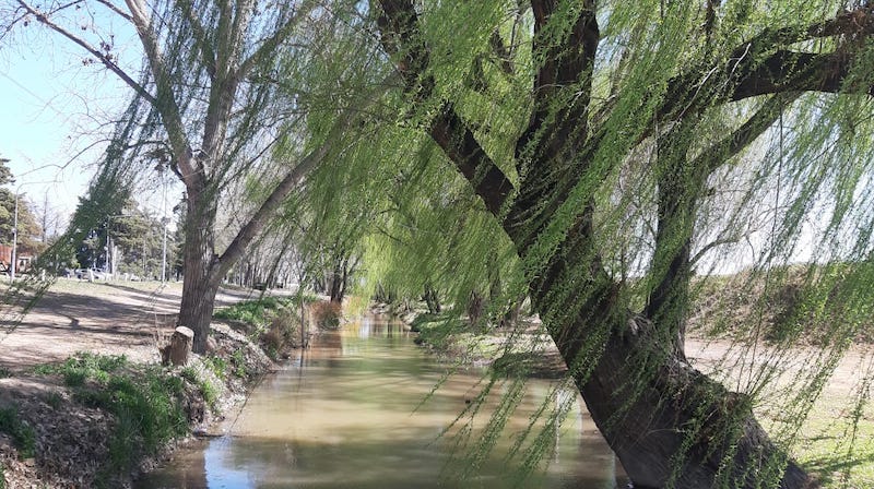 Arroyo en Valle de Uco.