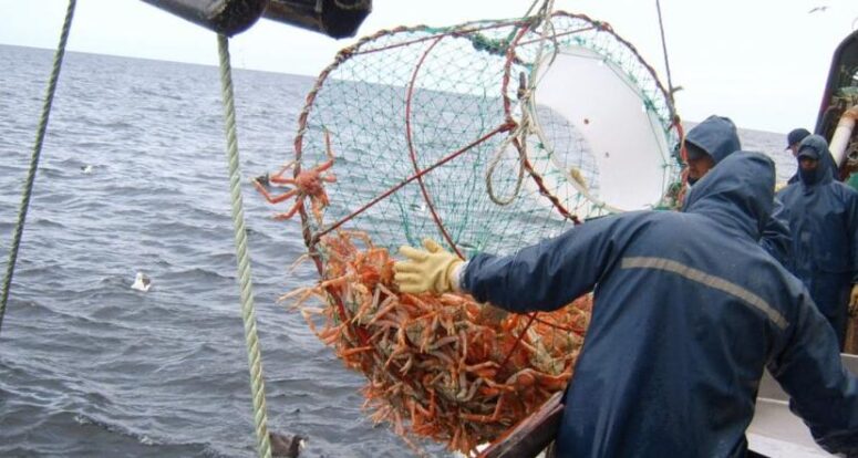 pesca mar argentino