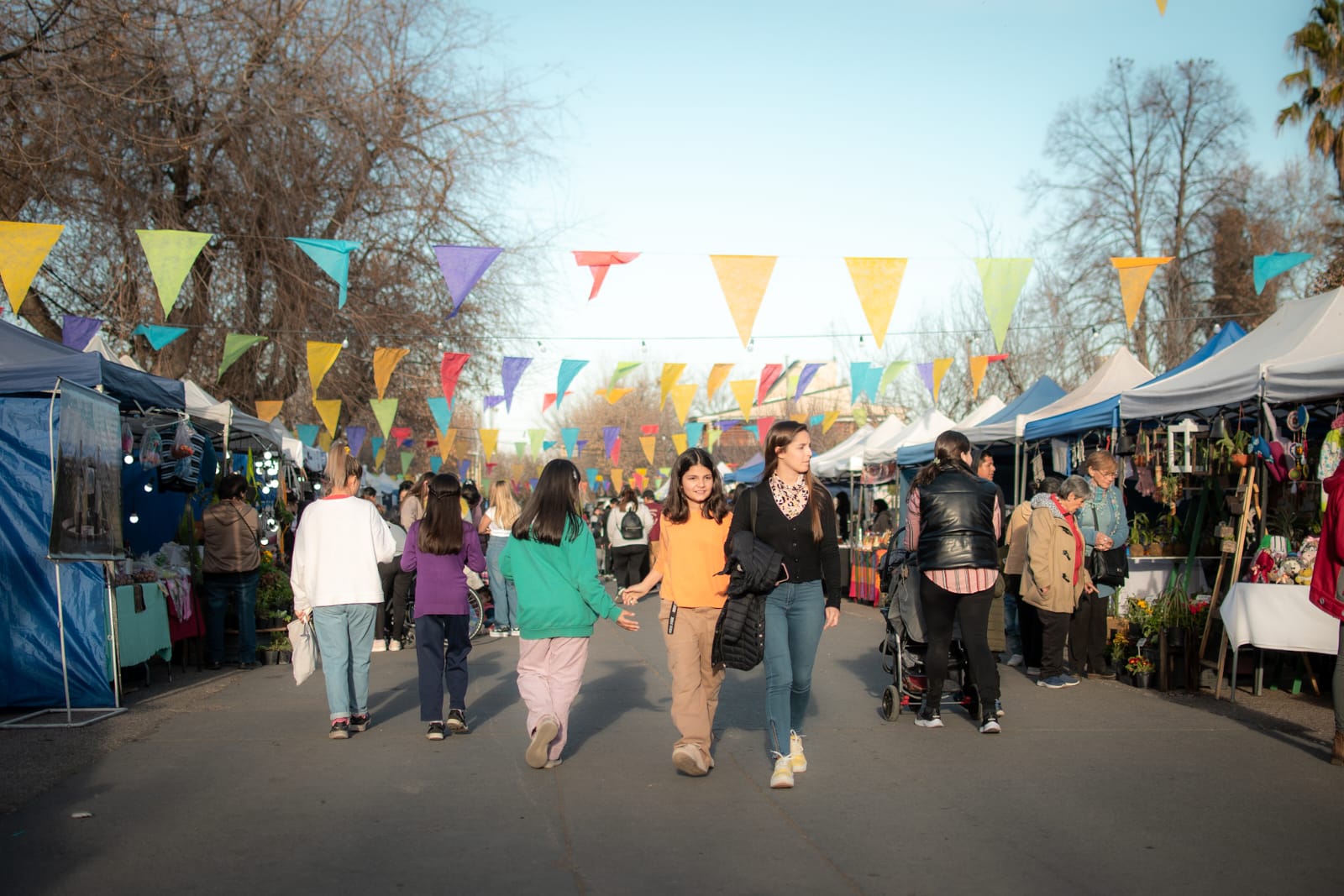 feria artesanal tupungato