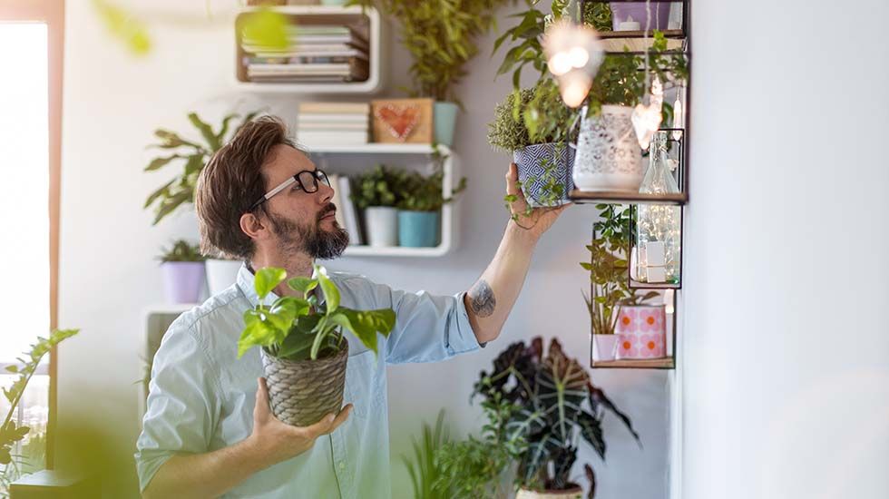 plantas-interior.jpg.optimal