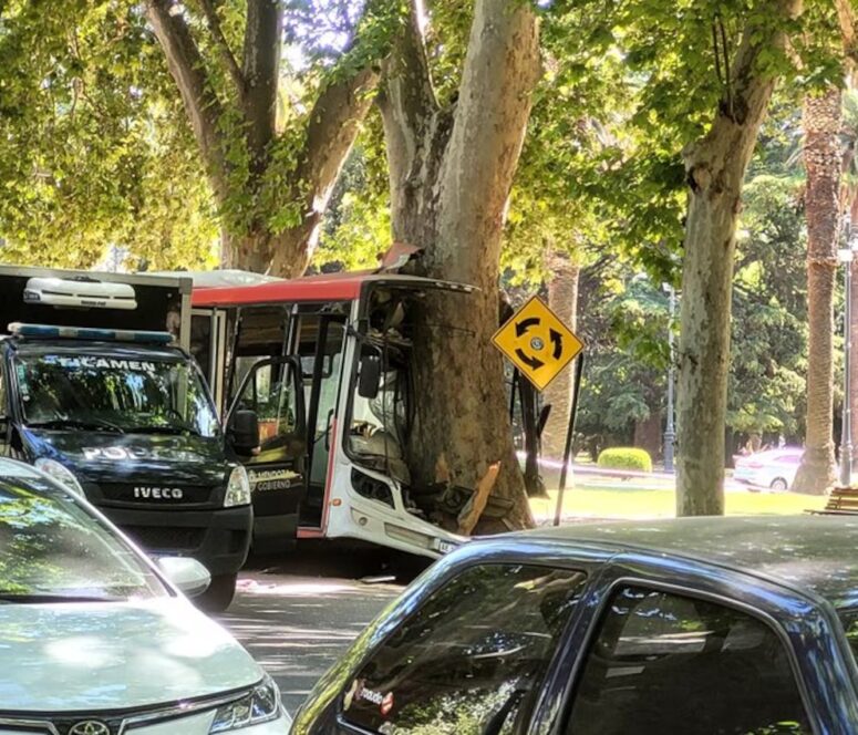 accidente parque san martin