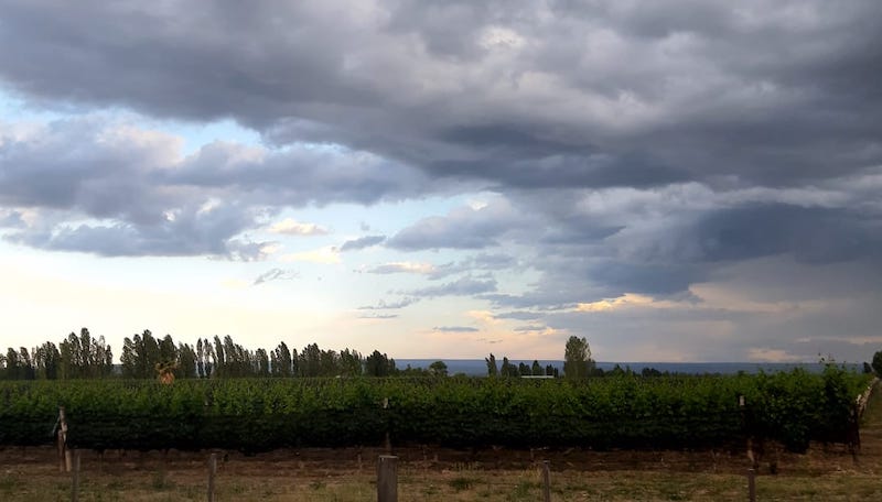 viñedo y nubes- valle de uco