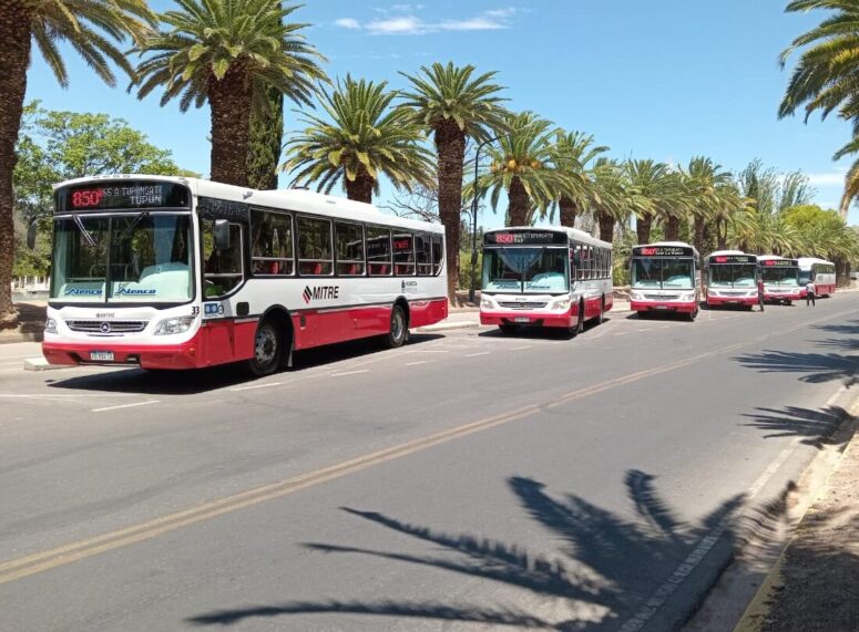 Nuevos colectivos