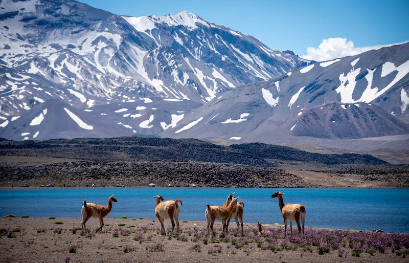 Laguna-del-Diamante2