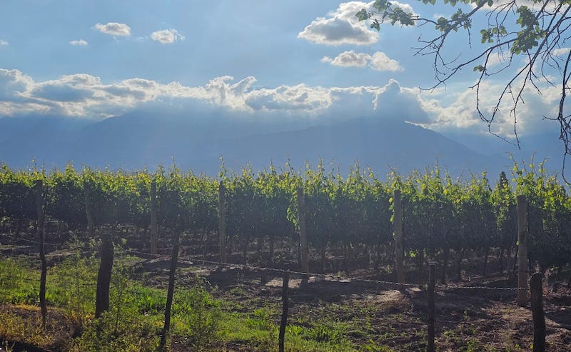 Paisaje de Valle de Uco- (foto gentileza Fernanda Rodríguez)