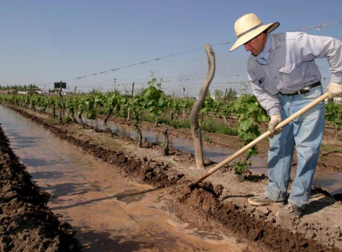 Agricultor-1-700x517